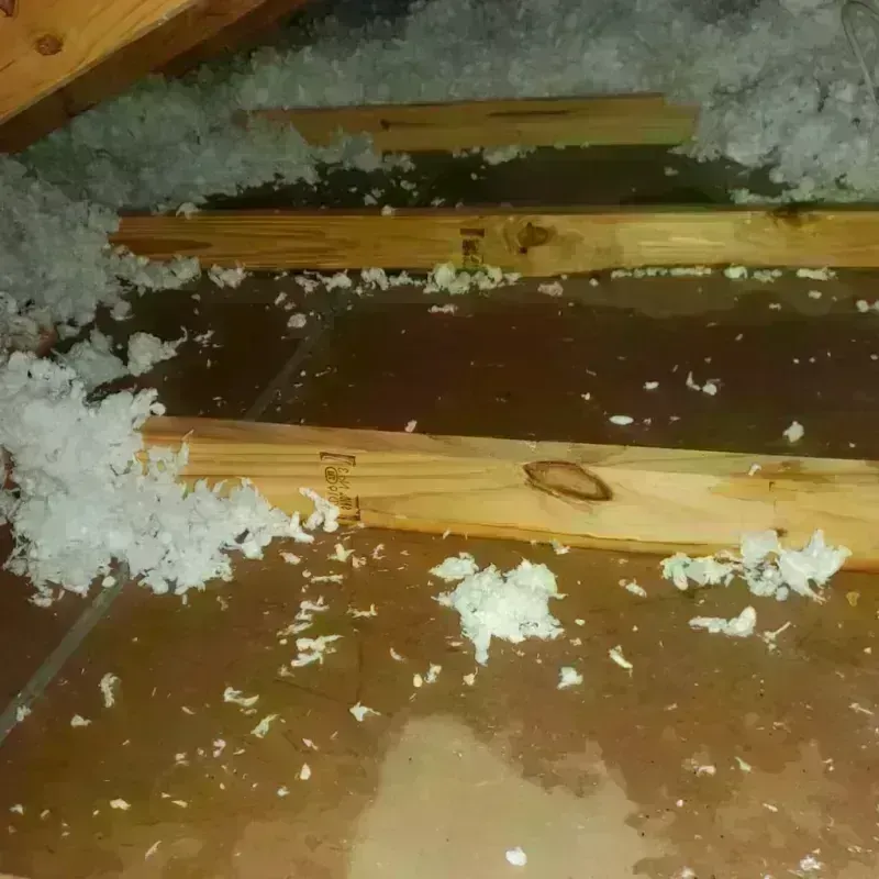 Attic Water Damage in Oolitic, IN