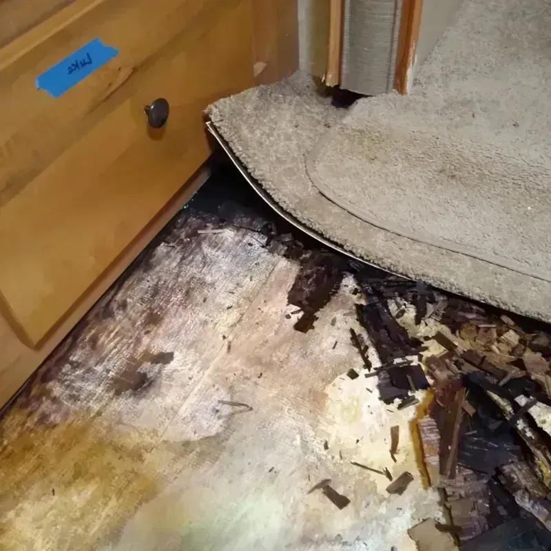 Best Wood Floor Water Damage Service in Oolitic, IN